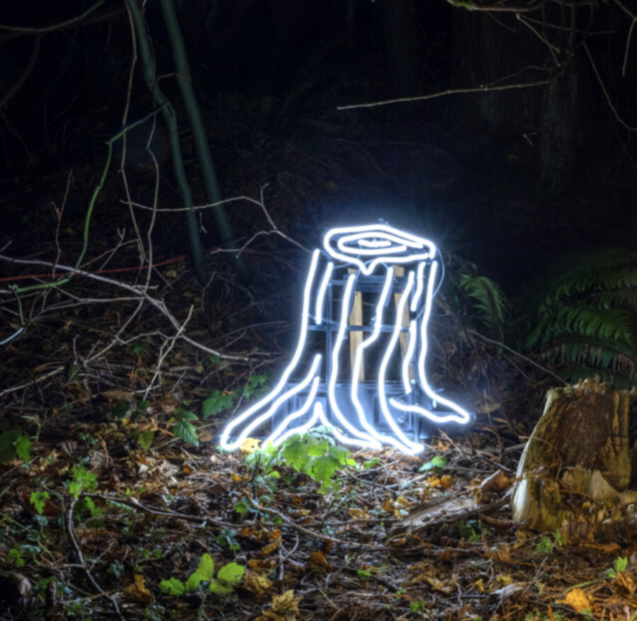 STUMP