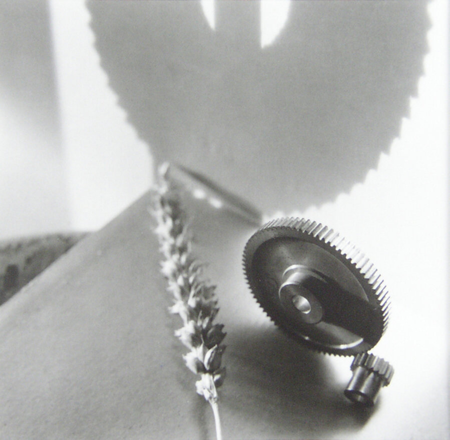 Title unknown (Composition with Wheels and an Ear)