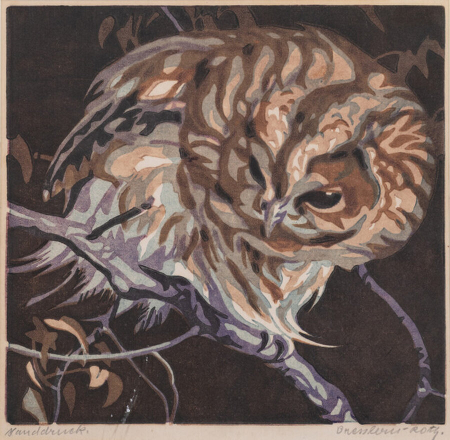 Waldkauz (Tawny Owl)