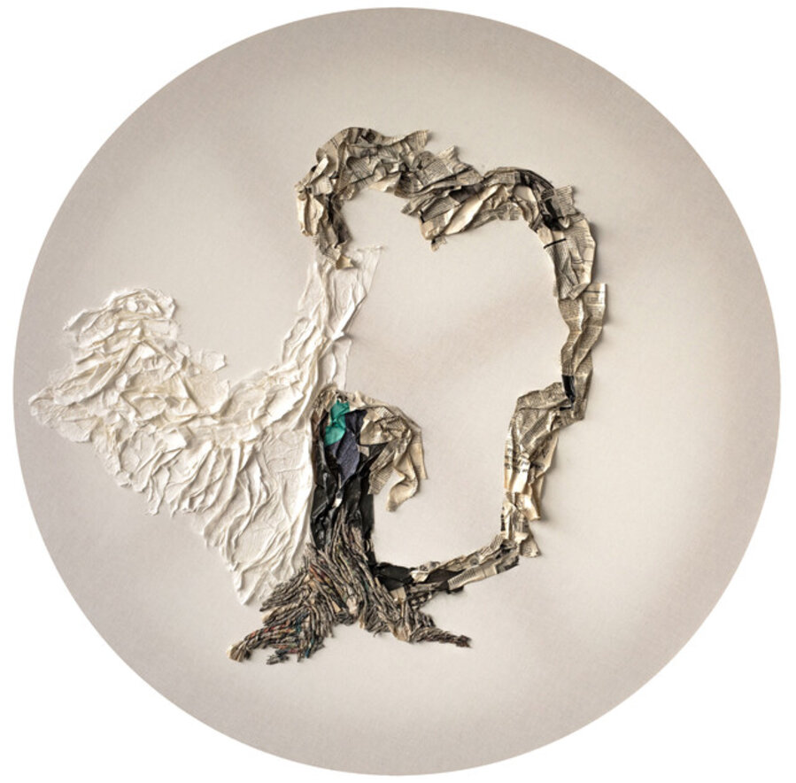 Microcosm 17