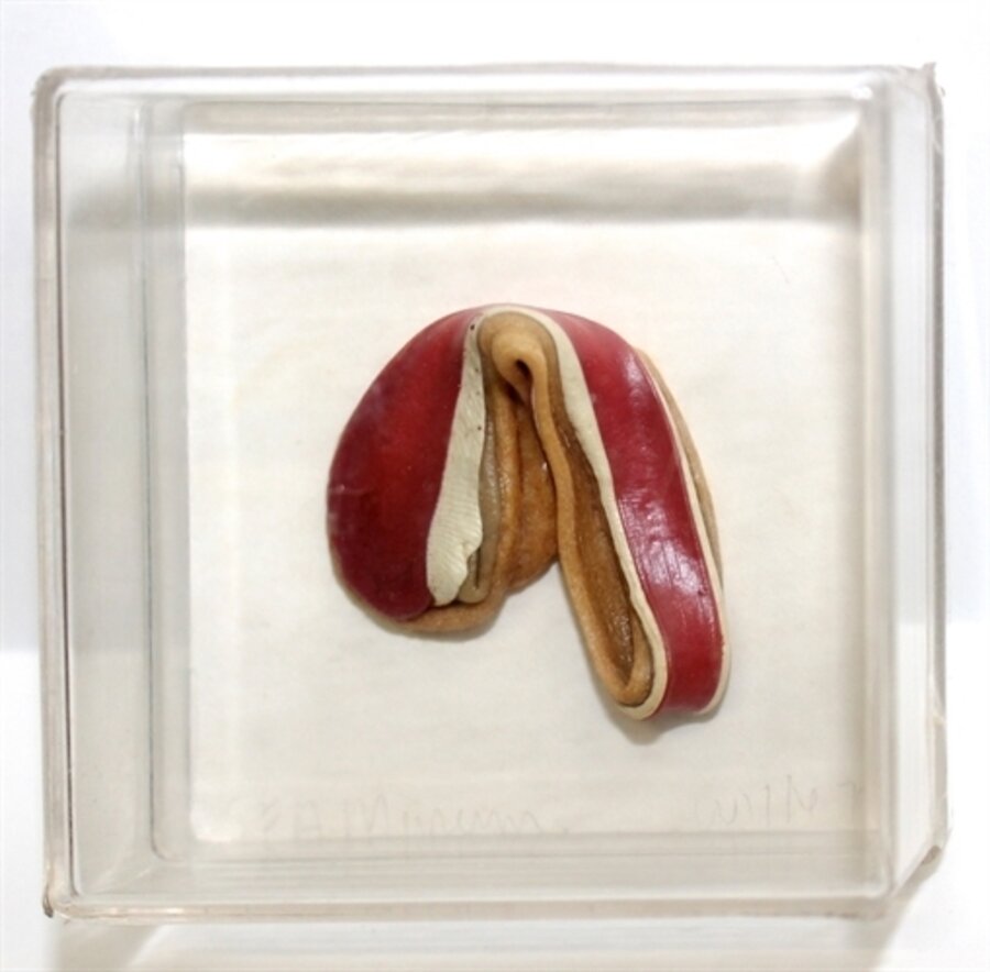 Untitled (Single Gum Sculpture)