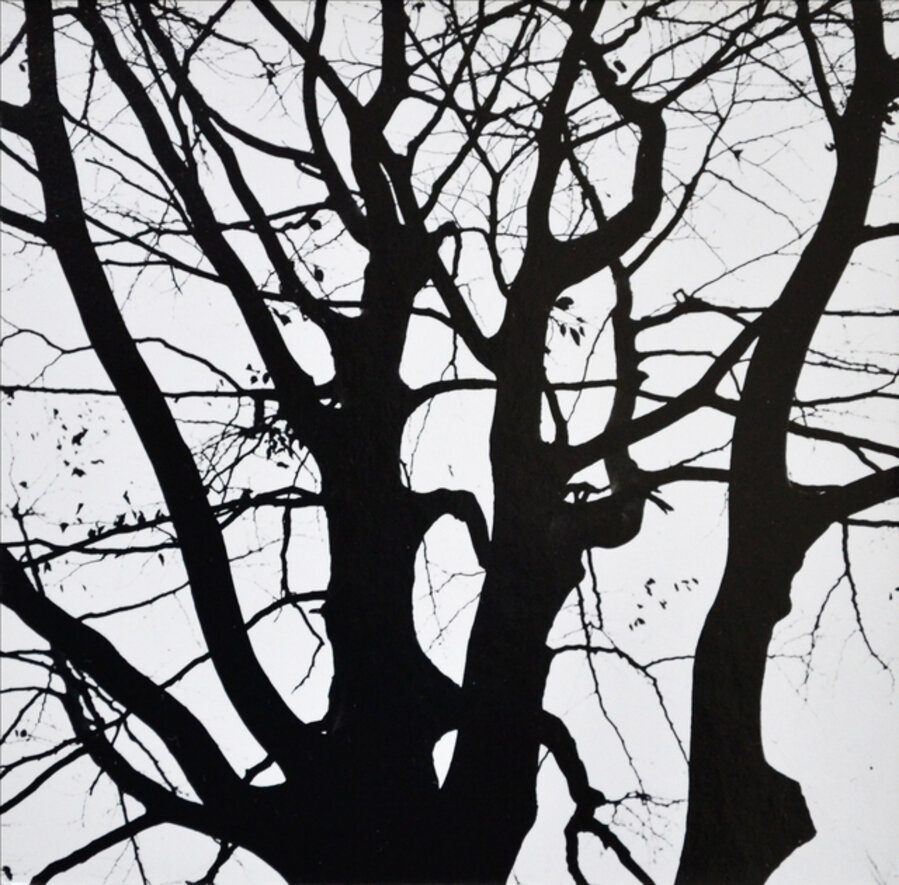 Untitled (Tree #4)