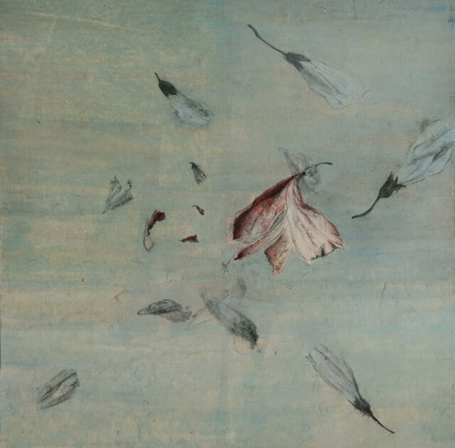 Falling Blossoms: The Tree's Perspective