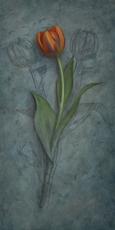 Sean Beavers, ‘Tulip Studied’, ca. 2014