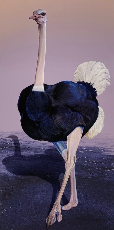 Ink Dwell (Jane Kim), ‘Common Ostrich (Struthio camelus)’, 2020