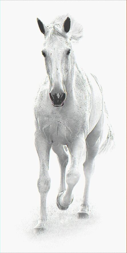 Bob Tabor, ‘White horse II’, 2017