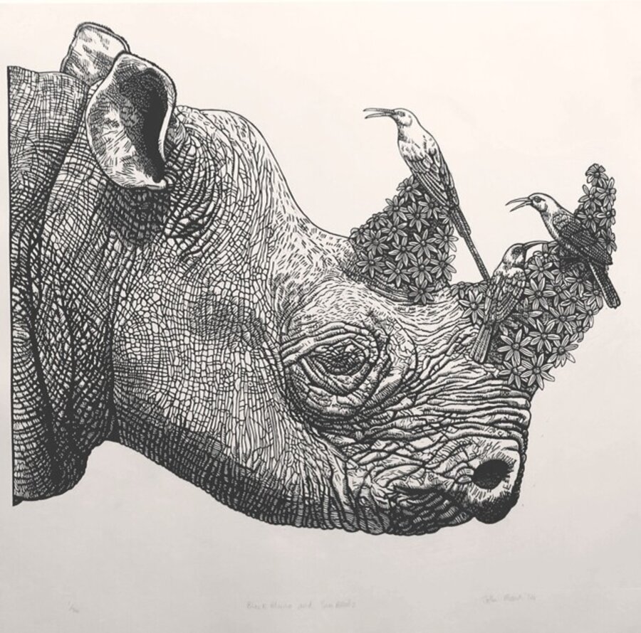 Black Rhino and sun Sun birds