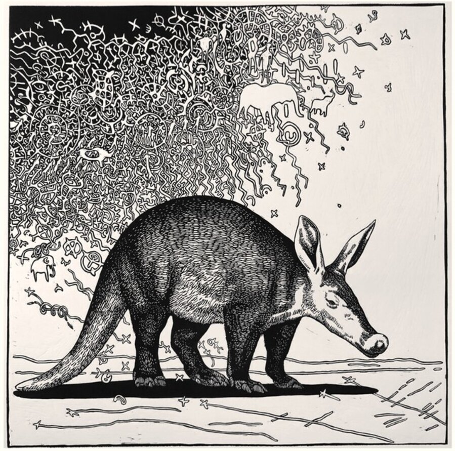Aardvark antics