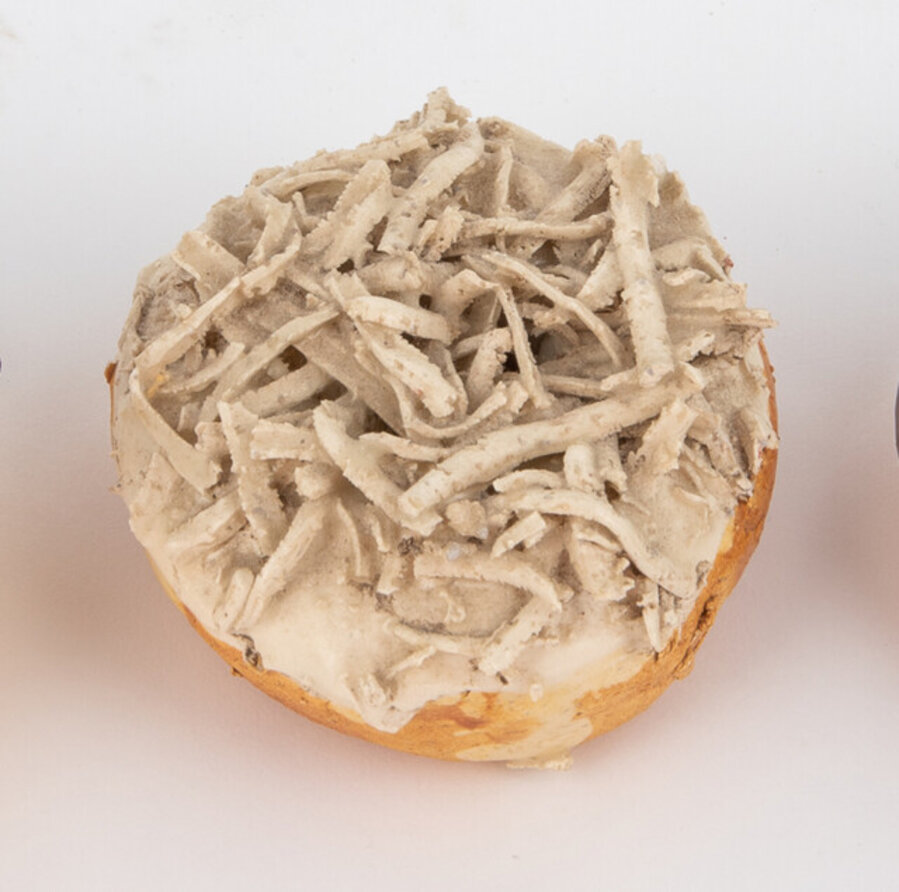 Donut (Coconut topping)