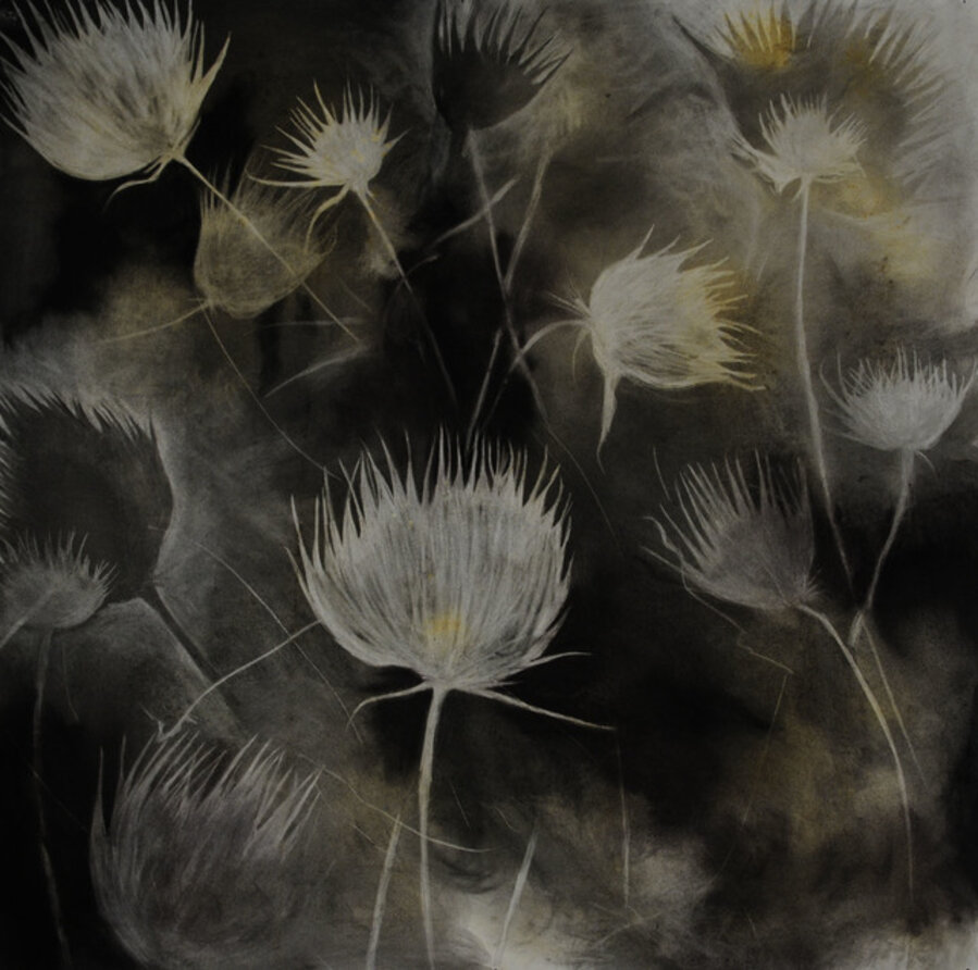Madera Canyon Cycle - Winter Thistles, 1/2015