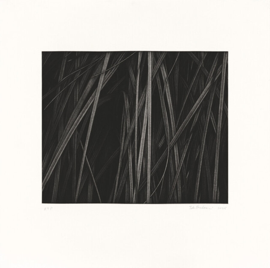 Untitled 3