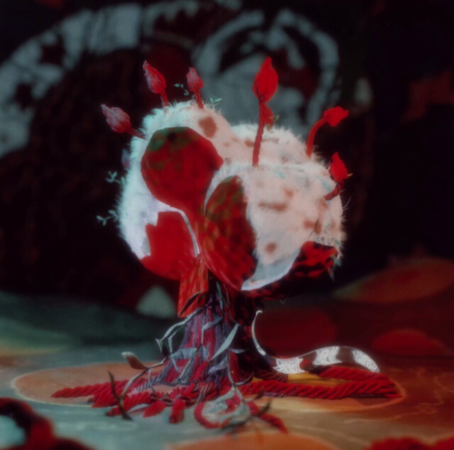 The Cotton Boll