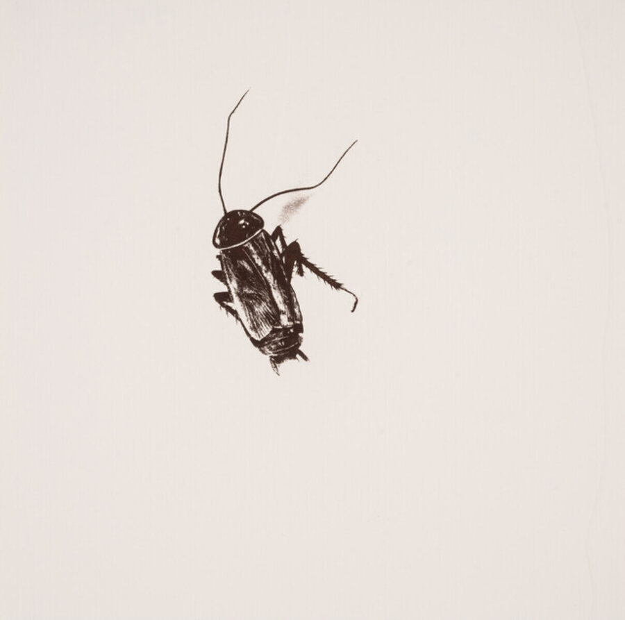 Like A Virgin, from Royal College of Art, Printmaking Portfolio 1994