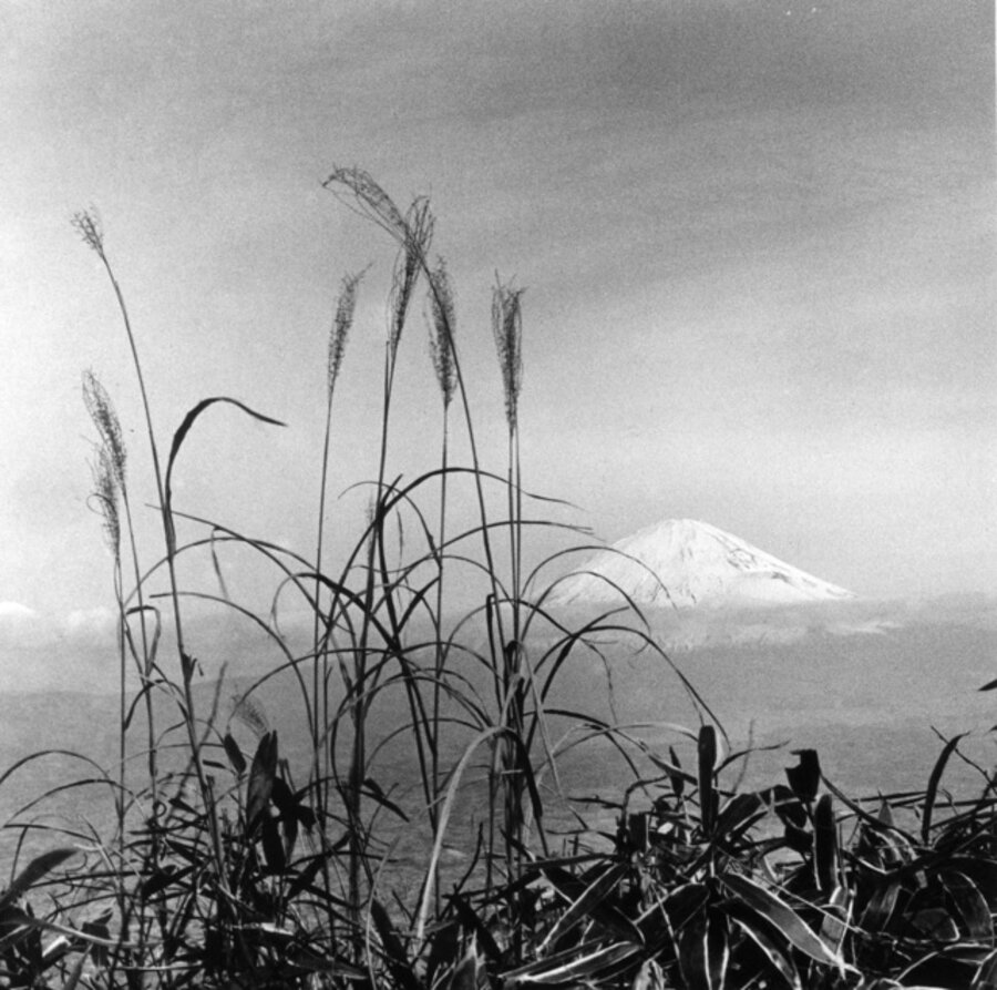 Mt. Fuji, Japan