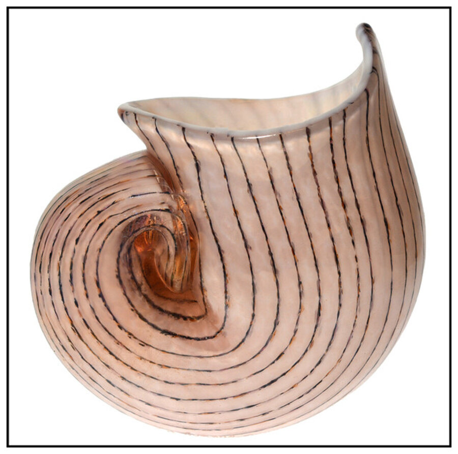 Murano Glass Shell