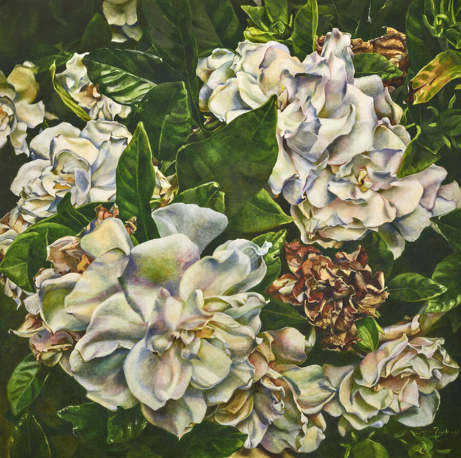 Ephemeral Panel 1