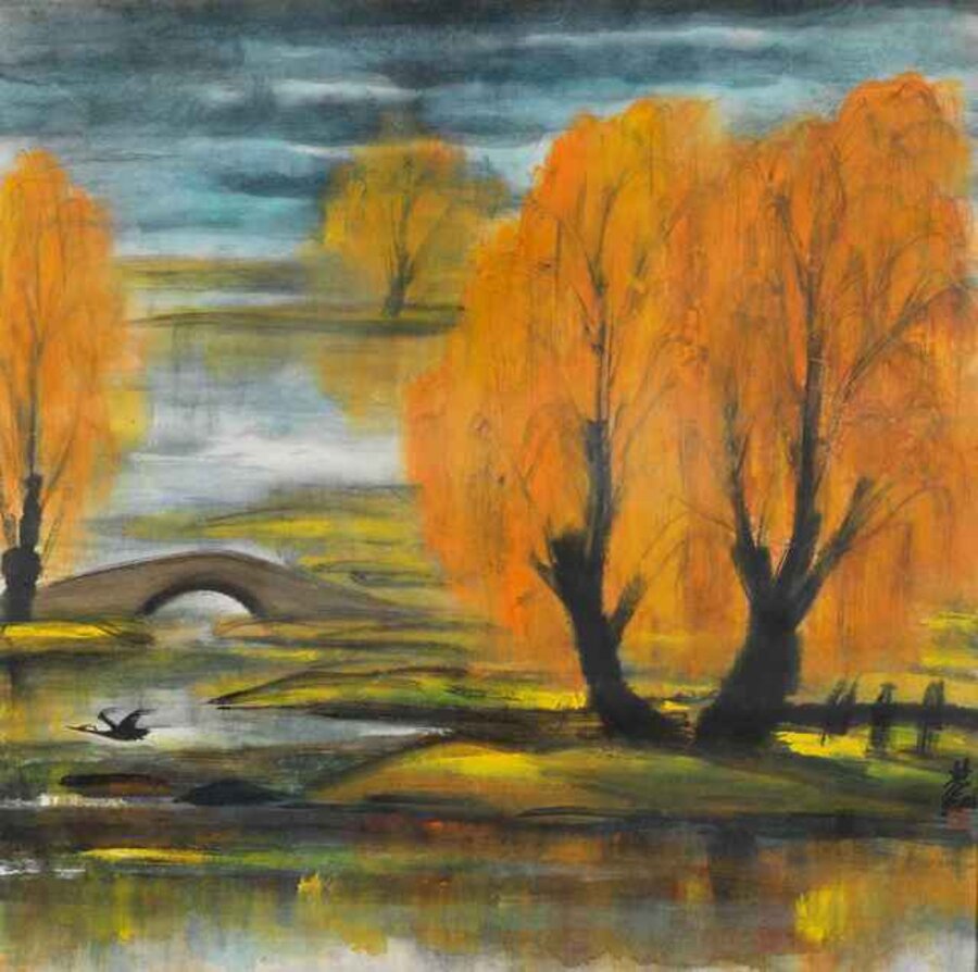 Flying Duck in Landscape