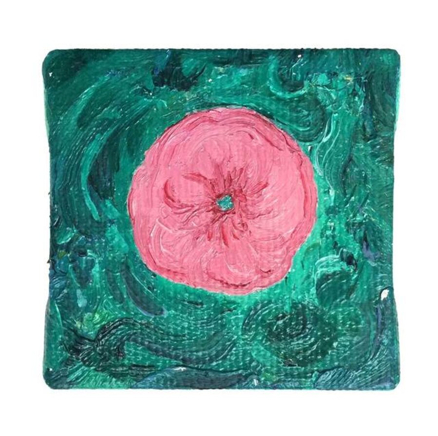 Anemone