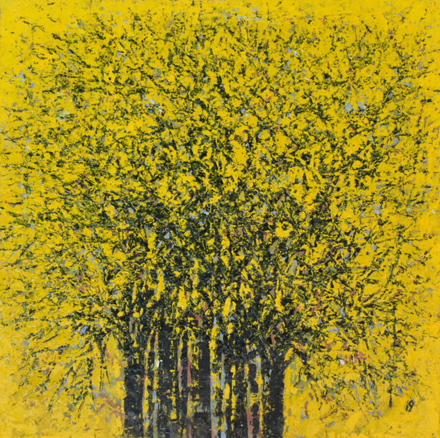YELLOW FOREST (H18/313)