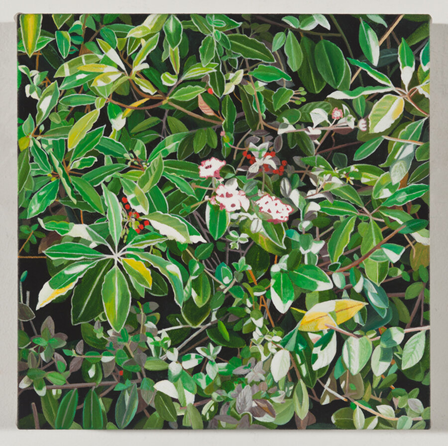 A Month of Leaves