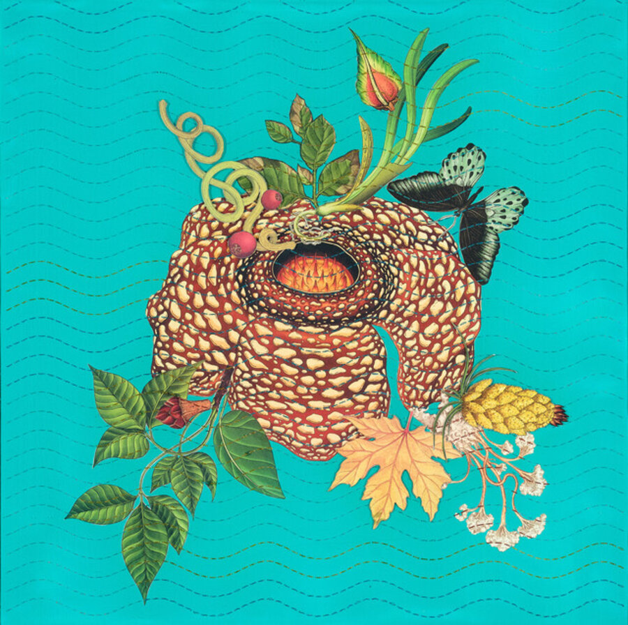 Ocean Coral – II (Butterfly and mixed plants)