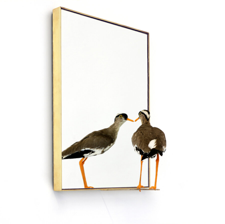 Infiniti Mirror
