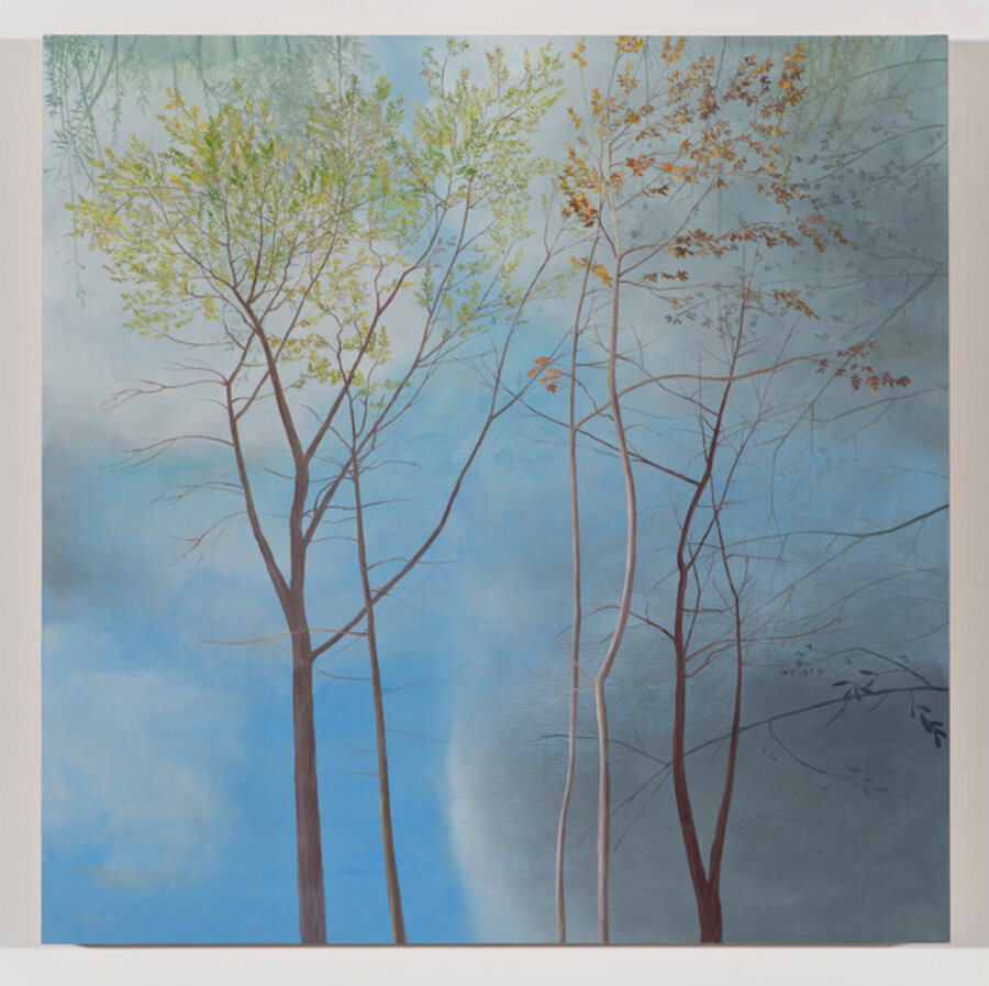 Trees in Midsky