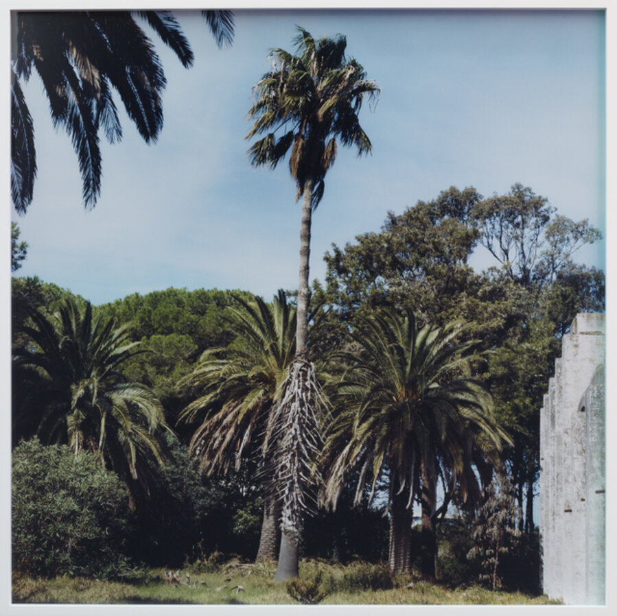 Villa Harris, Fig. 4