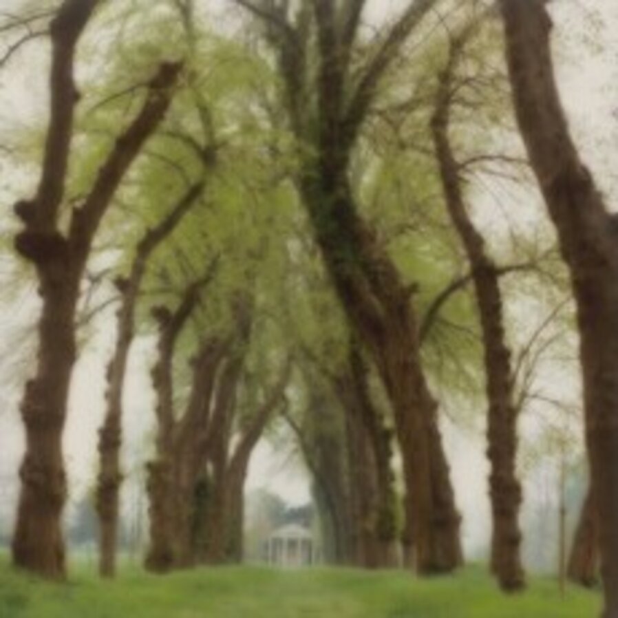 Parc de Canon, France (5-95-48c-10)
