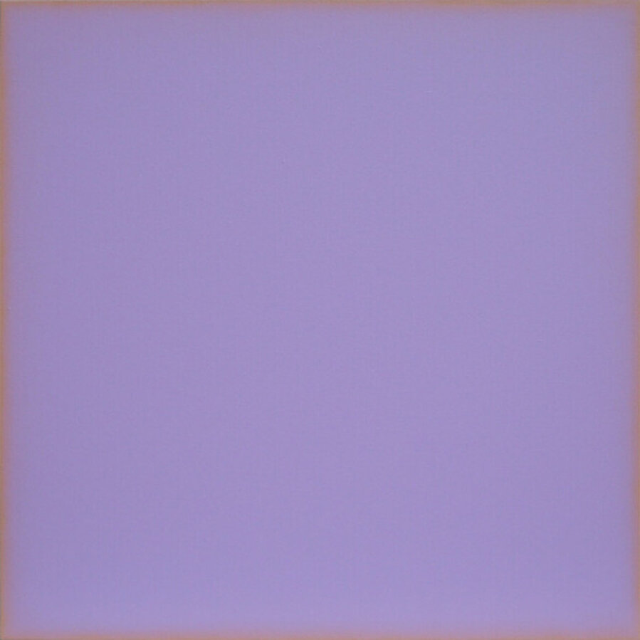 Violet bordered rose