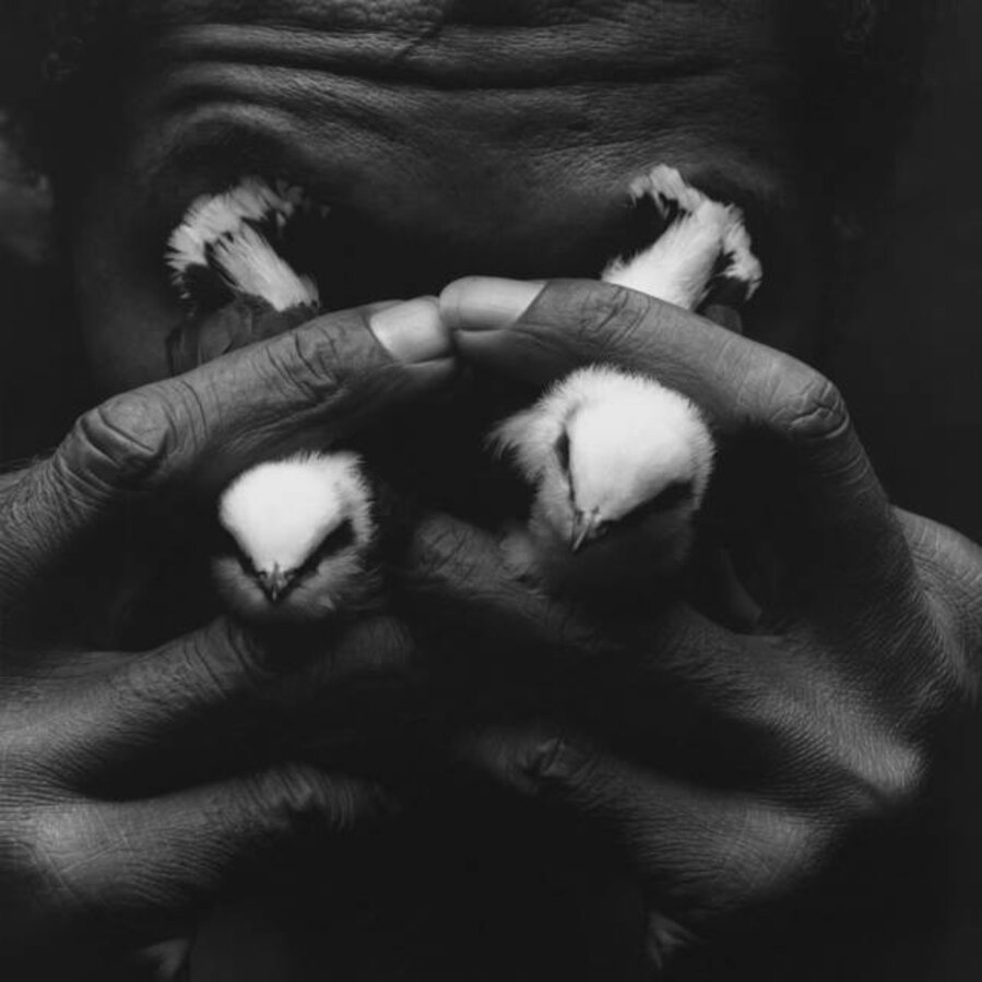 Homem com lagrimas de passaro (Man with Bird Tears)