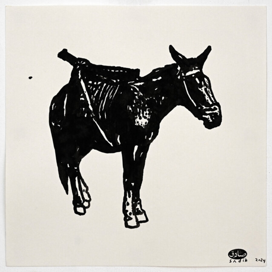A Donkey in my Studio (13)