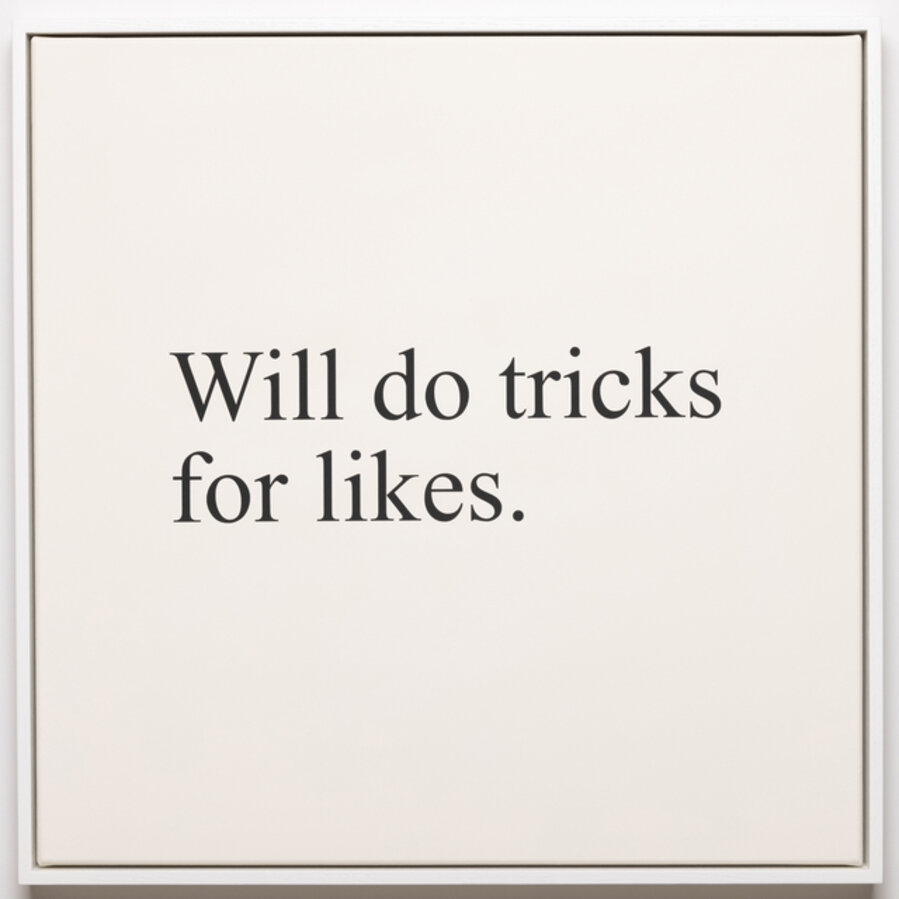 Will do tricks for likes