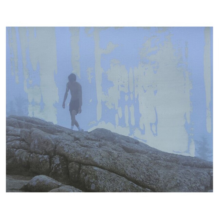 Fog in Acadia