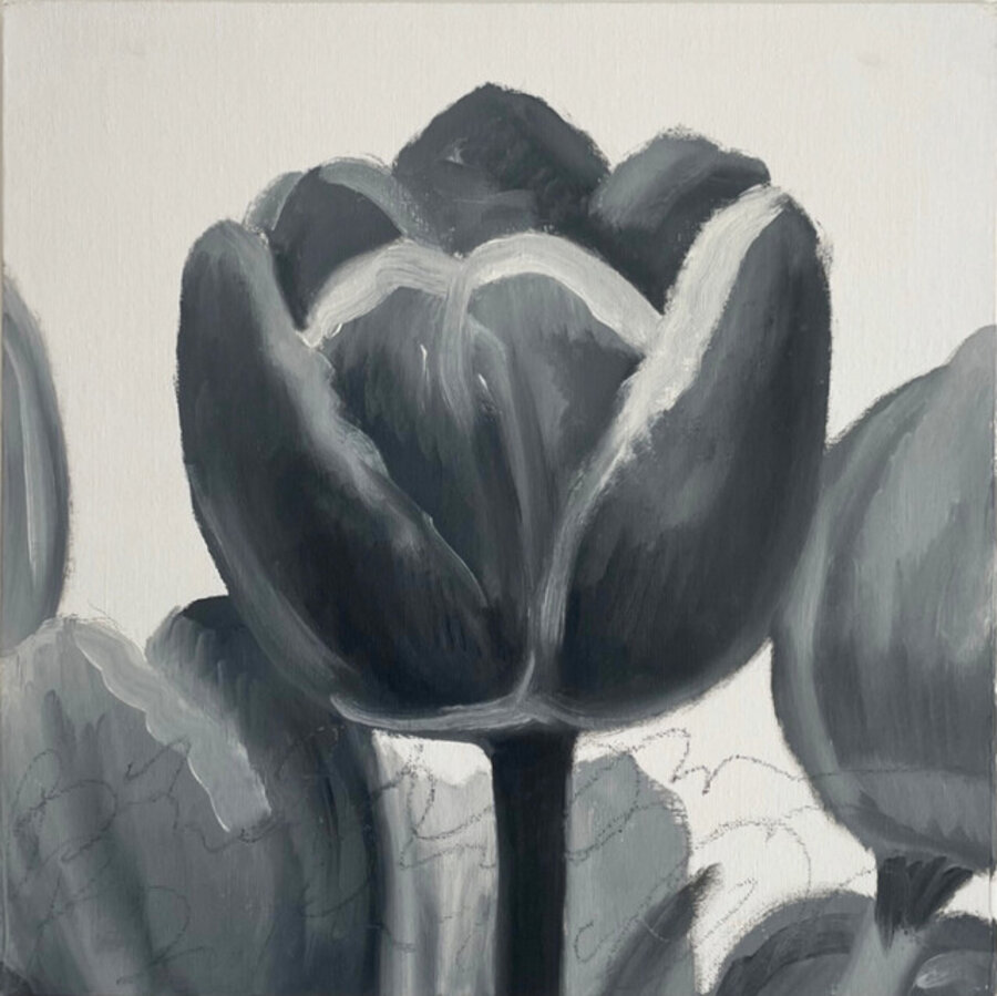 Tulip Study #1