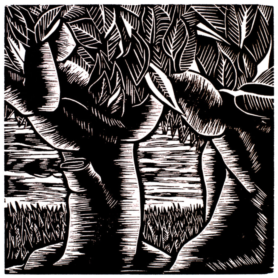 LANDSCHAFT 23