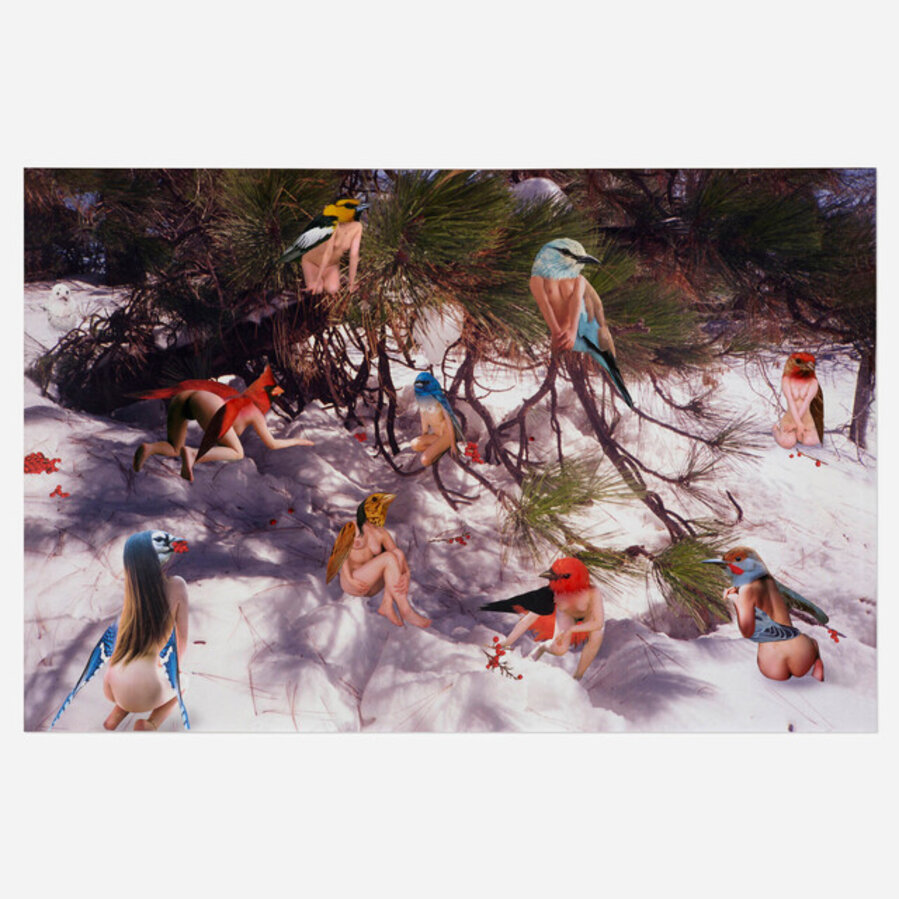 Wild Birds Under Pine