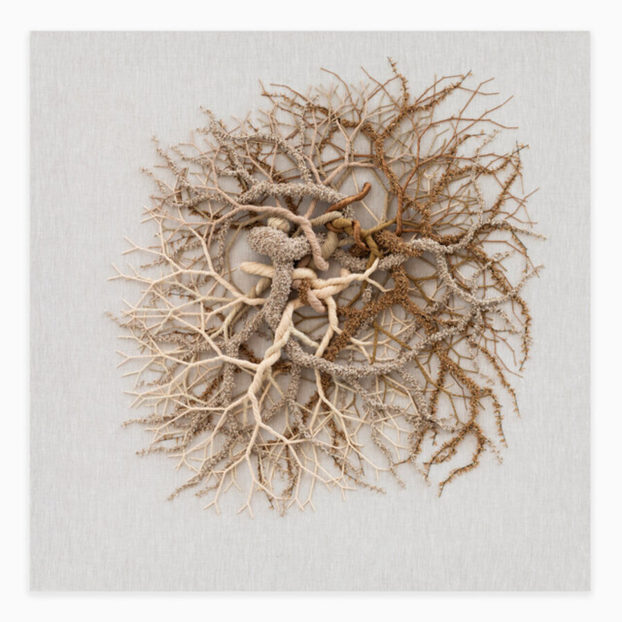 Ciclotrama 403 (fungi)