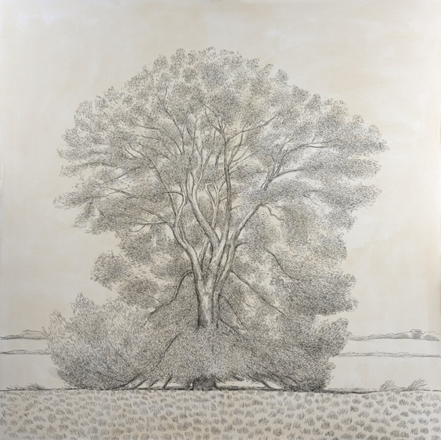 Willow Tree