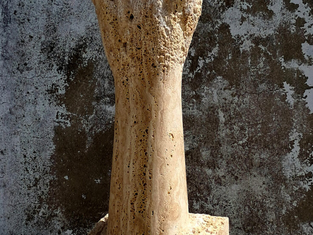 Vítor Ribeiro - Roots of Matter