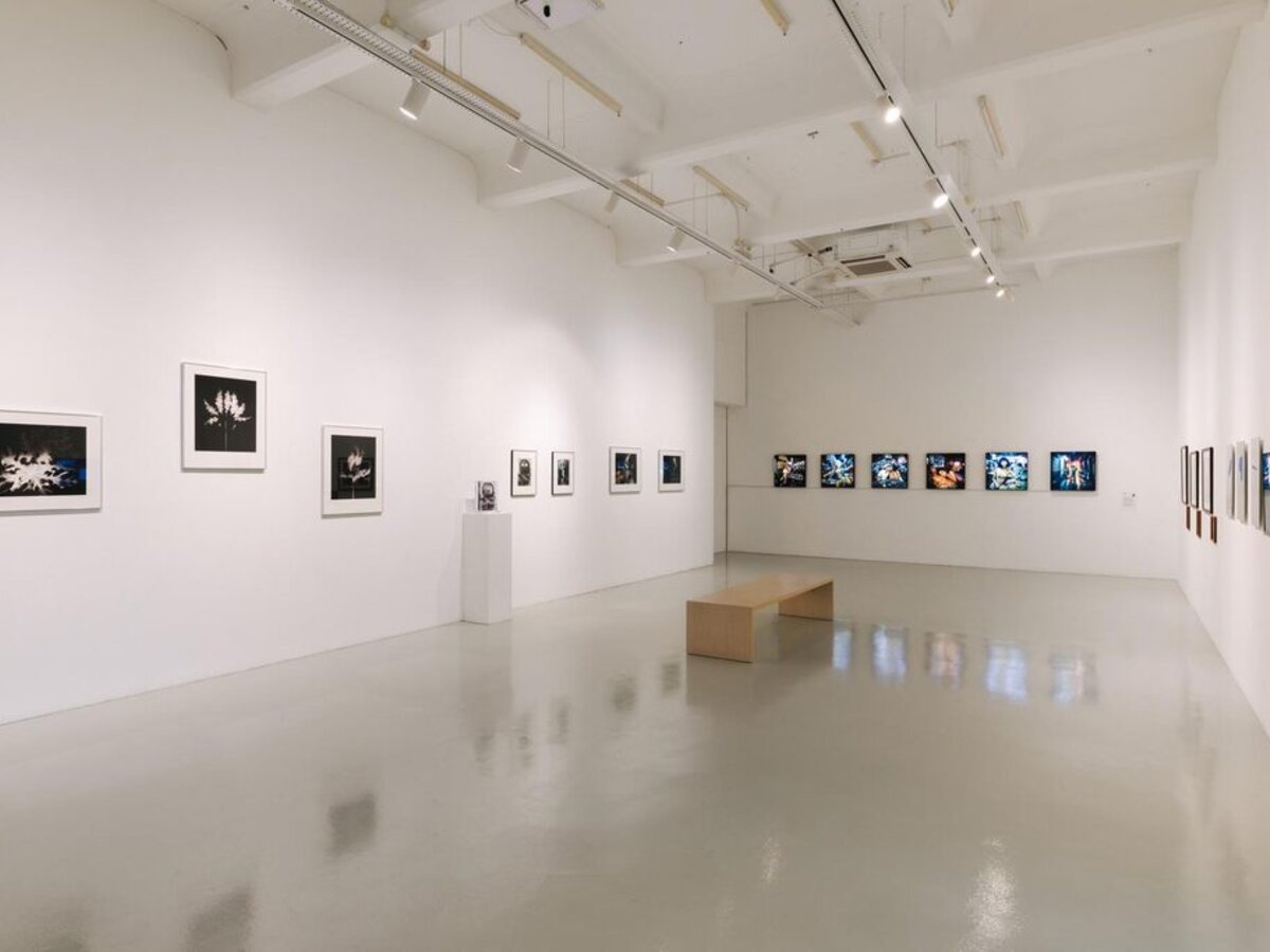 Image After Image: Material, Memory, Machine
