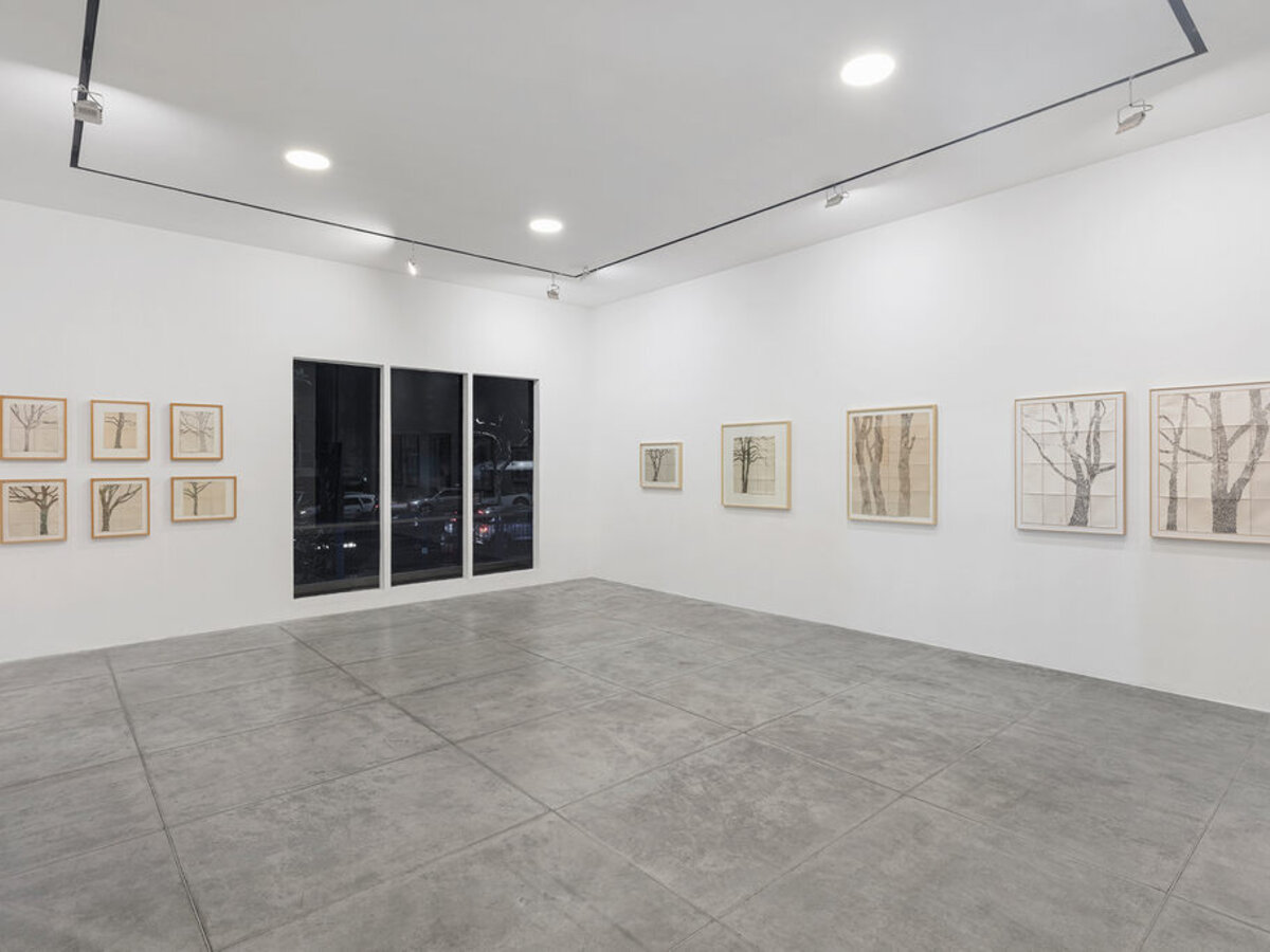 Johanna Calle / Longitudes