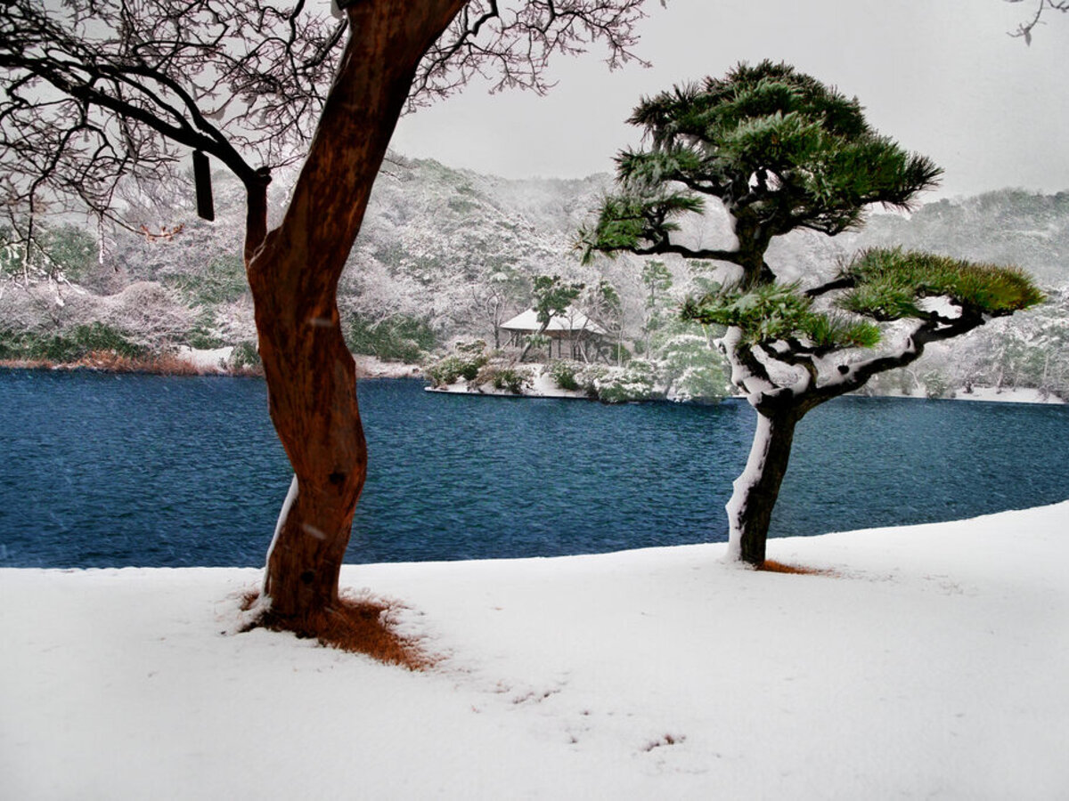 Immersion by Steve McCurry