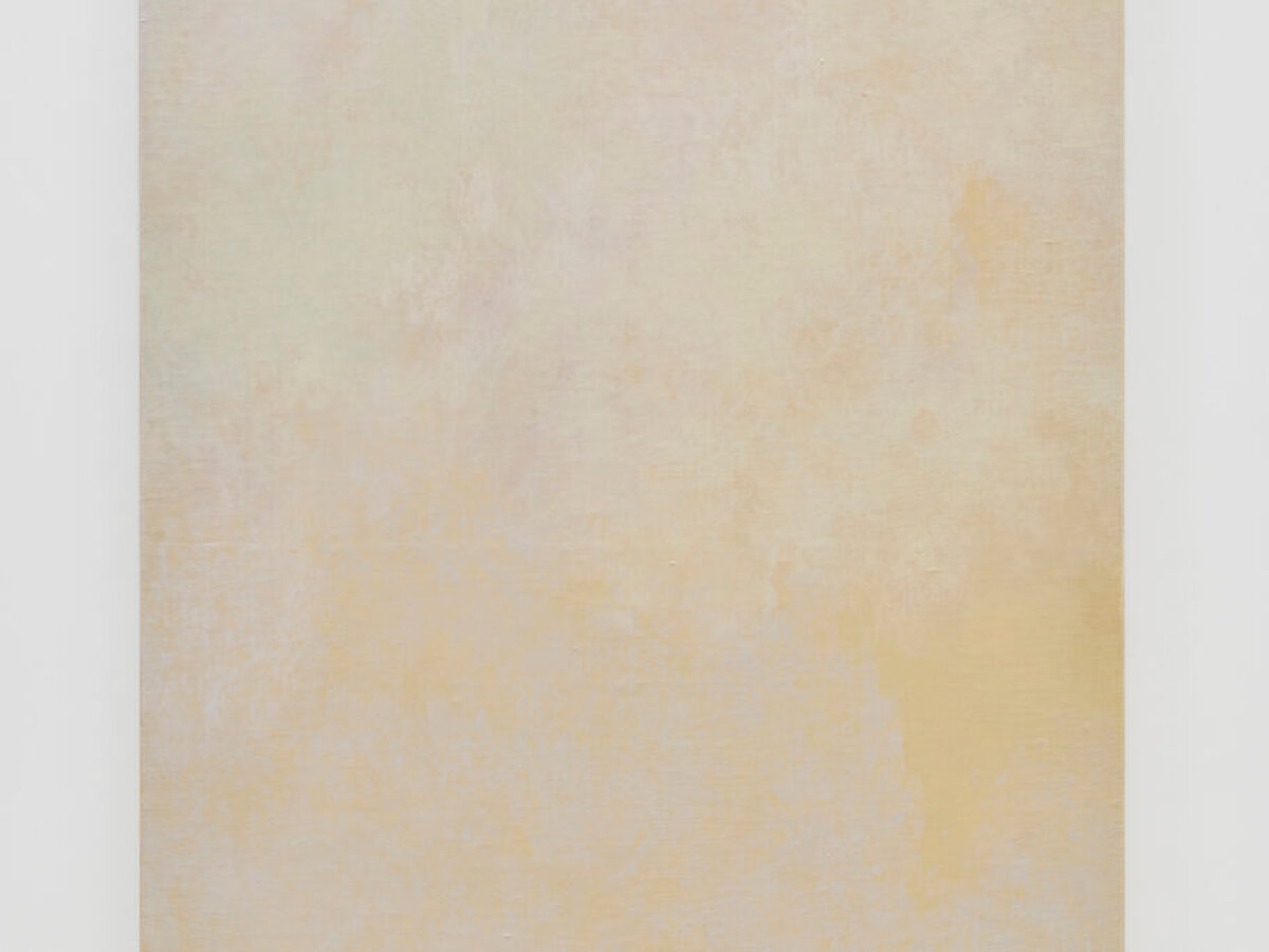 Wrinkled Landscape