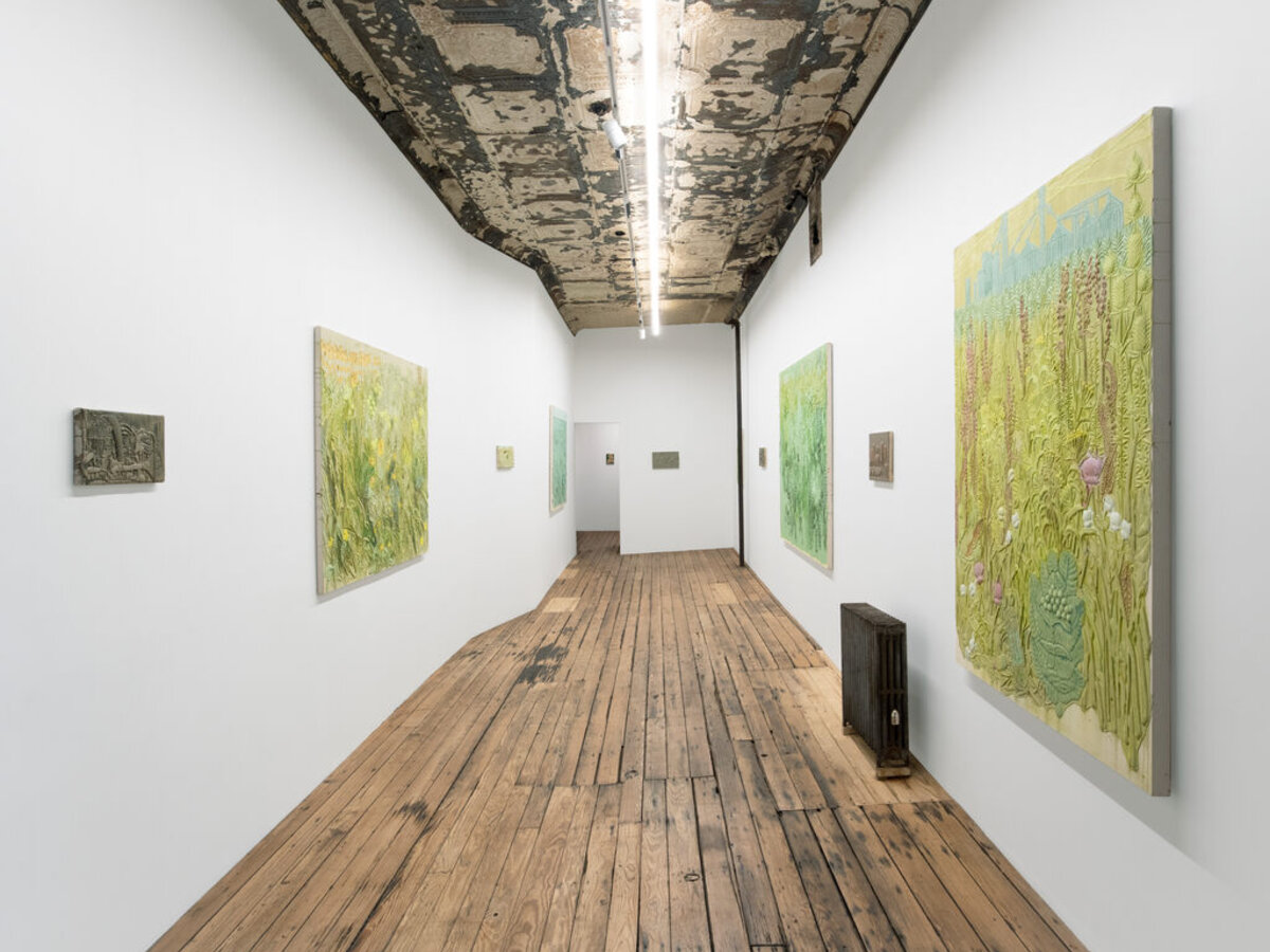 Michael Assiff: USA Flowers