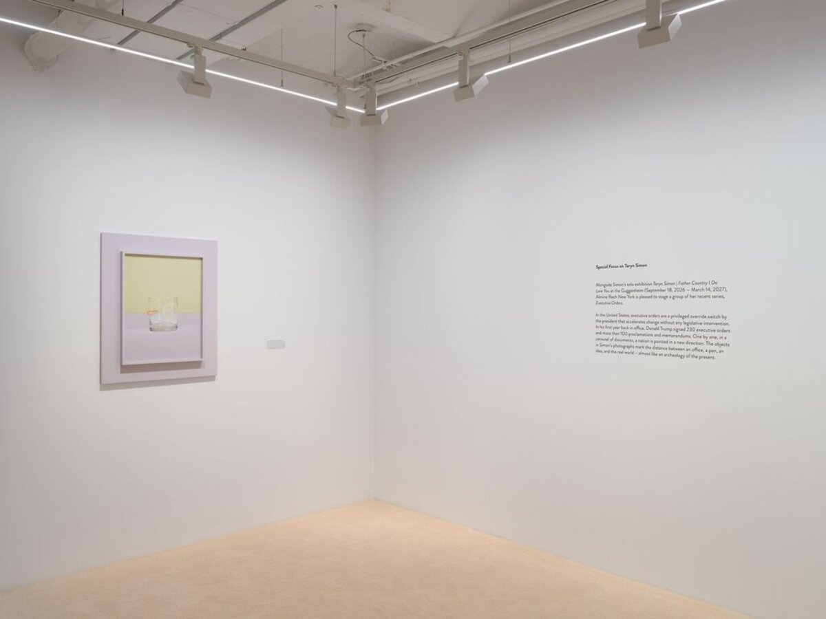 'Special Focus on Taryn Simon on the occasion of her exhibition at the Guggenheim'