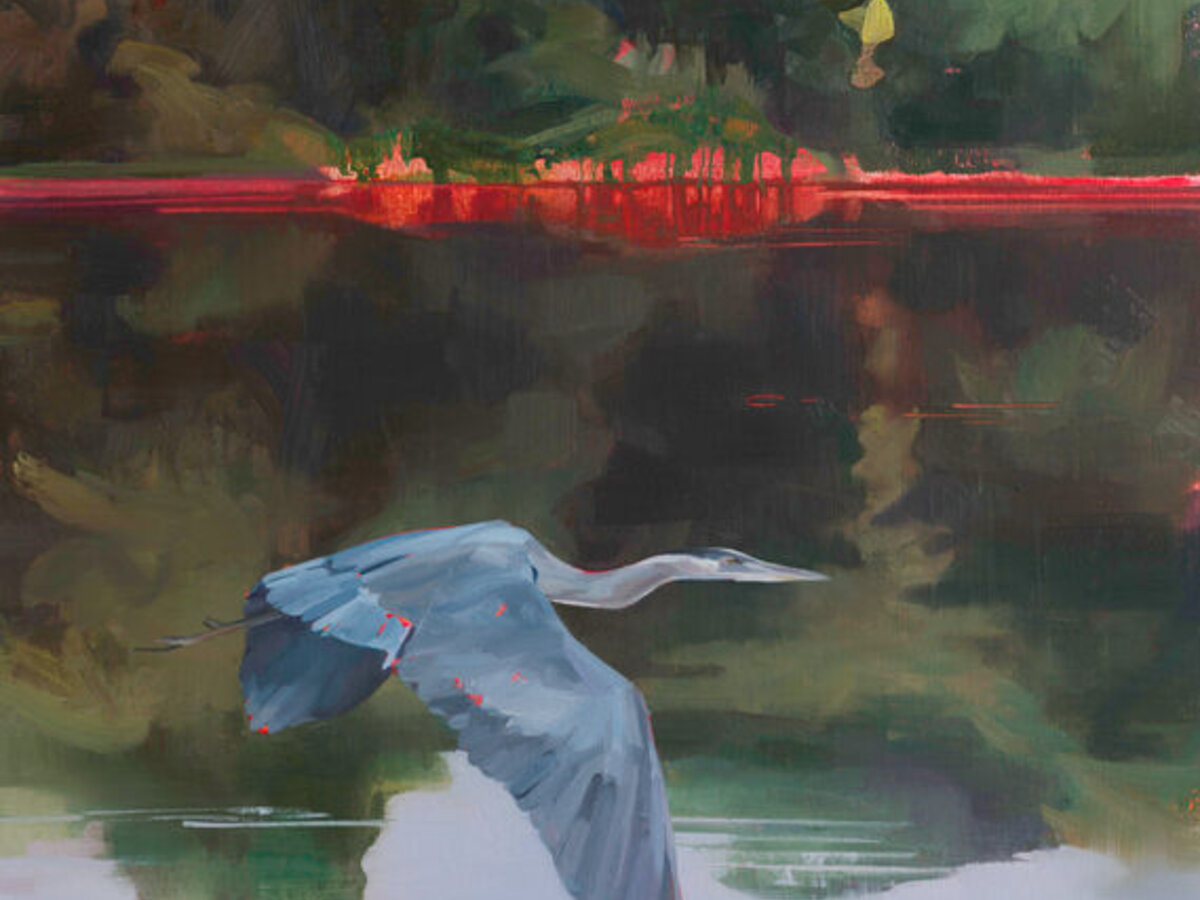 Tai Shan Schierenberg: Mixed Blessings