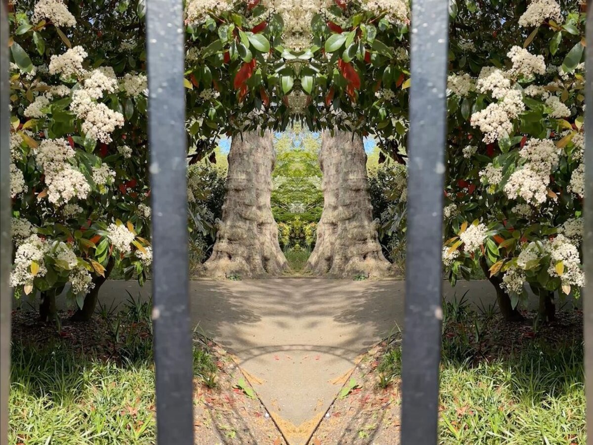 Mark Wallinger 'Circling the Square'