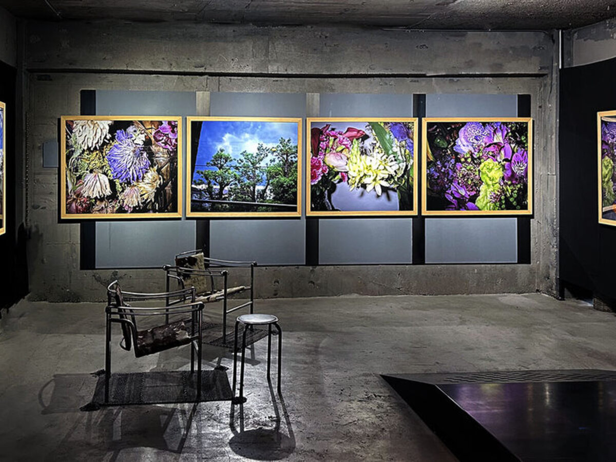 Nobuyoshi ARAKI: PARADISE
