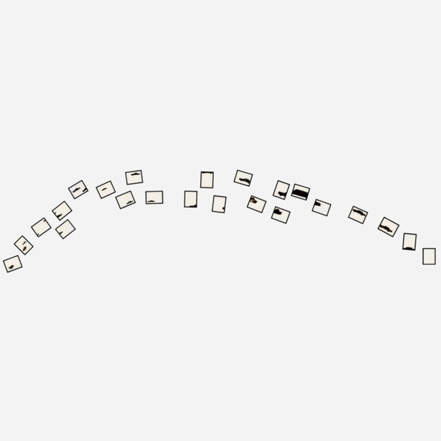 Cadillac Fleet
